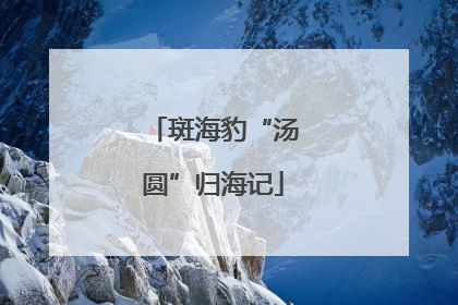 斑海豹“汤圆”归海记