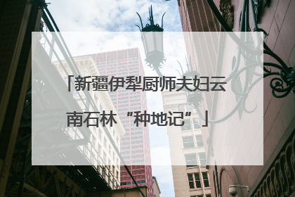 新疆伊犁厨师夫妇云南石林“种地记”