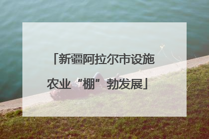新疆阿拉尔市设施农业“棚”勃发展