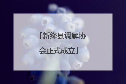新绛县调解协会正式成立