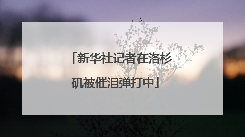 新华社记者在洛杉矶被催泪弹打中