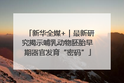 新华全媒+｜最新研究揭示哺乳动物胚胎早期器官发育“密码”