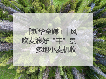 新华全媒+｜风吹麦浪好“丰”景——多地小麦机收一线见闻