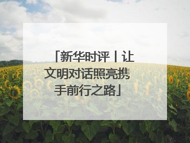 新华时评丨让文明对话照亮携手前行之路