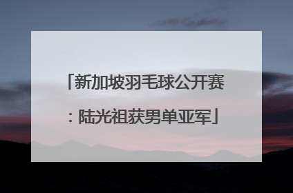 新加坡羽毛球公开赛：陆光祖获男单亚军