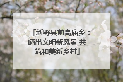 新野县前高庙乡：晒出文明新风景 共筑和美新乡村