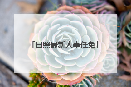 日照最新人事任免