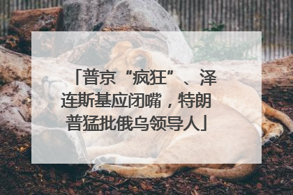 普京“疯狂”、泽连斯基应闭嘴，特朗普猛批俄乌领导人