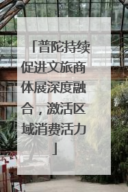 普陀持续促进文旅商体展深度融合，激活区域消费活力