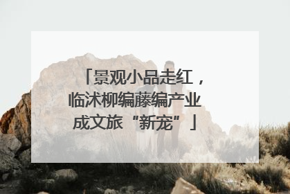 景观小品走红，临沭柳编藤编产业成文旅“新宠”