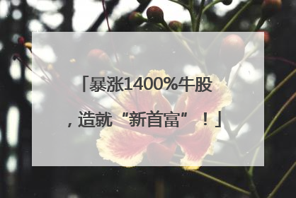 暴涨1400%牛股，造就“新首富”！