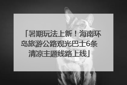 暑期玩法上新！海南环岛旅游公路观光巴士6条清凉主题线路上线