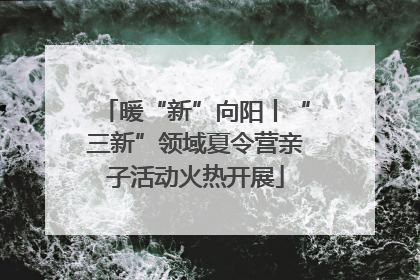 暖“新”向阳丨“三新”领域夏令营亲子活动火热开展