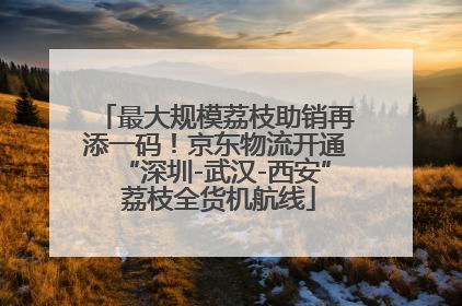 最大规模荔枝助销再添一码！京东物流开通“深圳-武汉-西安” 荔枝全货机航线