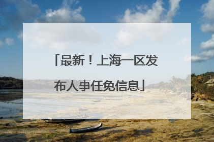 最新！上海一区发布人事任免信息