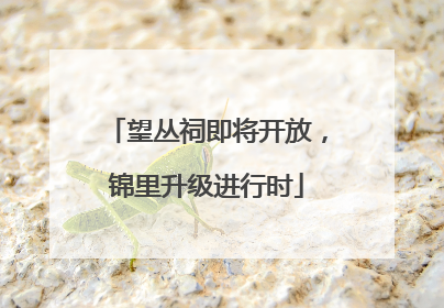 望丛祠即将开放，锦里升级进行时