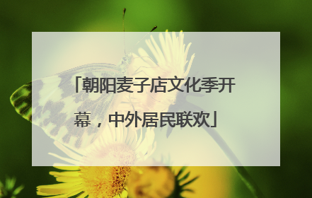 朝阳麦子店文化季开幕，中外居民联欢