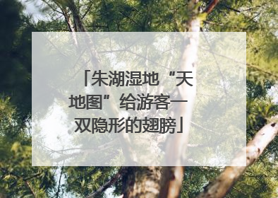 朱湖湿地“天地图”给游客一双隐形的翅膀