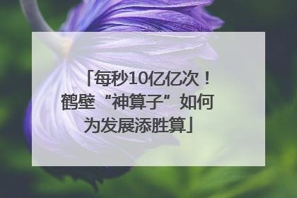 每秒10亿亿次！鹤壁“神算子”如何为发展添胜算
