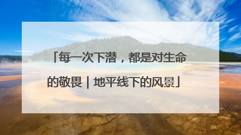 每一次下潜，都是对生命的敬畏｜地平线下的风景
