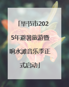 毕节市2025年避暑旅游暨响水滩音乐季正式启动