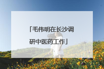 毛伟明在长沙调研中医药工作