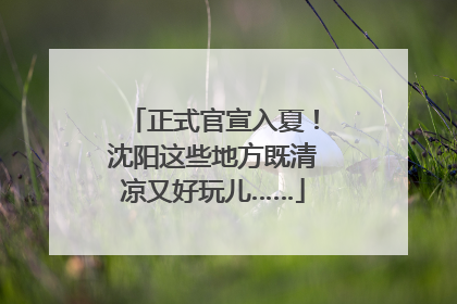 正式官宣入夏！沈阳这些地方既清凉又好玩儿……