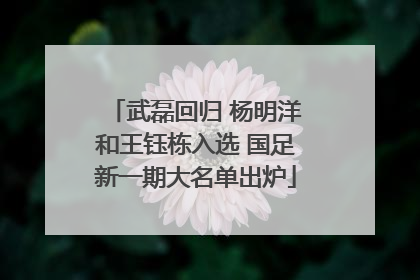 武磊回归 杨明洋和王钰栋入选 国足新一期大名单出炉