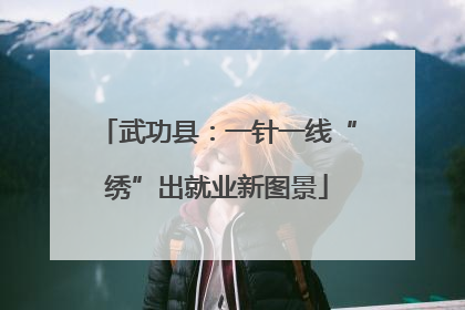 武功县：一针一线“绣”出就业新图景