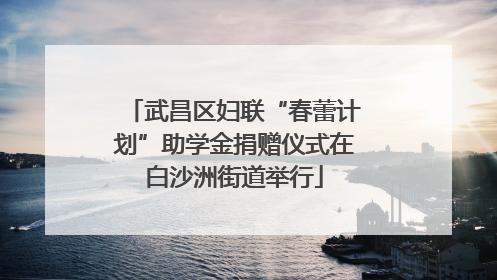 武昌区妇联“春蕾计划”助学金捐赠仪式在白沙洲街道举行