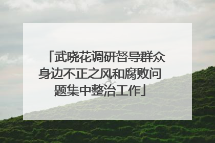 武晓花调研督导群众身边不正之风和腐败问题集中整治工作
