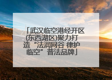 武汉临空港经开区(东西湖区)聚力打造“法润网谷 律护临空”普法品牌