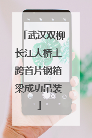 武汉双柳长江大桥主跨首片钢箱梁成功吊装