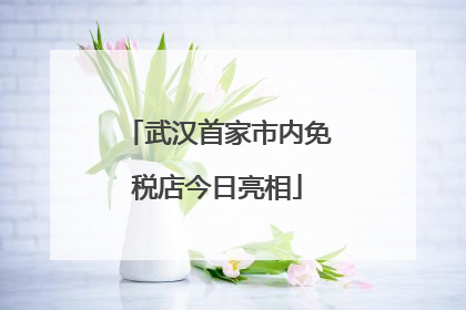 武汉首家市内免税店今日亮相