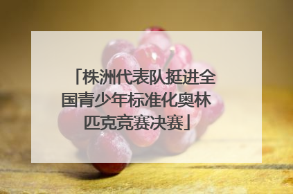 株洲代表队挺进全国青少年标准化奥林匹克竞赛决赛