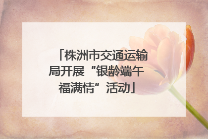株洲市交通运输局开展“银龄端午福满情”活动