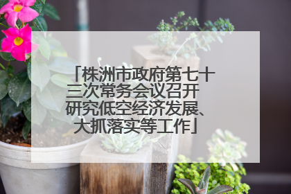 株洲市政府第七十三次常务会议召开 研究低空经济发展、大抓落实等工作