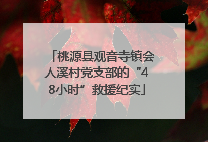 桃源县观音寺镇会人溪村党支部的“48小时”救援纪实