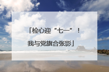 检心迎“七一”！我与党旗合张影