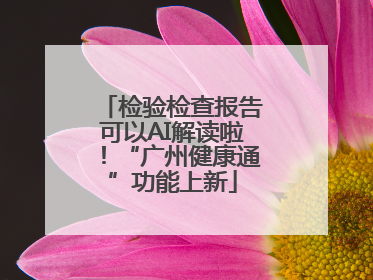 检验检查报告可以AI解读啦！“广州健康通”功能上新