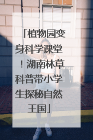 植物园变身科学课堂！湖南林草科普带小学生探秘自然王国