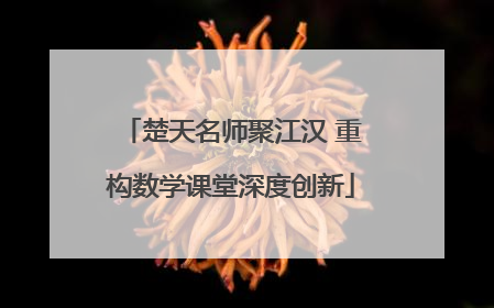 楚天名师聚江汉 重构数学课堂深度创新