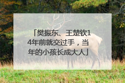 樊振东、王楚钦14年前就交过手，当年的小孩长成大人
