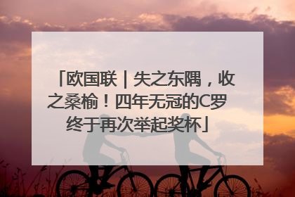 欧国联｜失之东隅，收之桑榆！四年无冠的C罗终于再次举起奖杯