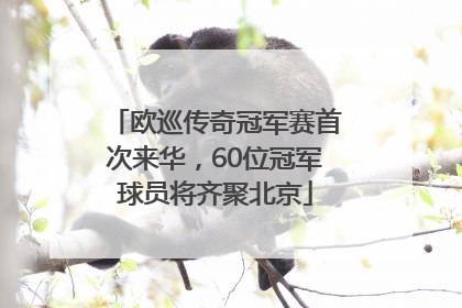 欧巡传奇冠军赛首次来华，60位冠军球员将齐聚北京