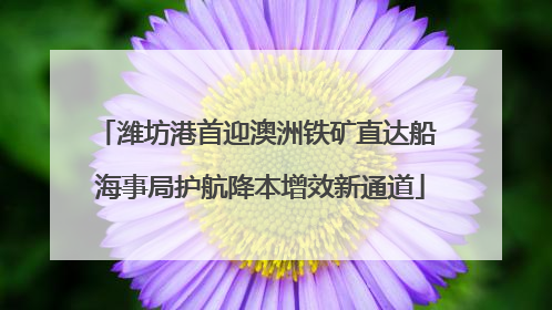 潍坊港首迎澳洲铁矿直达船 海事局护航降本增效新通道