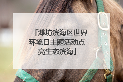 潍坊滨海区世界环境日主题活动点亮生态滨海