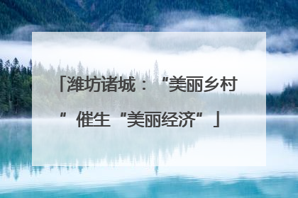 潍坊诸城：“美丽乡村”催生“美丽经济”