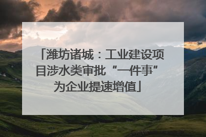 潍坊诸城：工业建设项目涉水类审批“一件事” 为企业提速增值