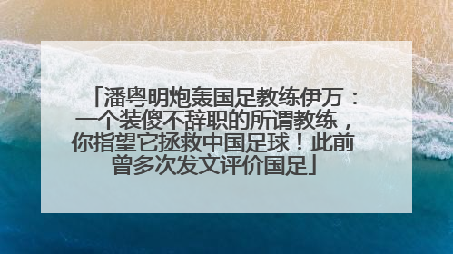 潘粤明炮轰国足教练伊万：一个装傻不辞职的所谓教练，你指望它拯救中国足球！此前曾多次发文评价国足